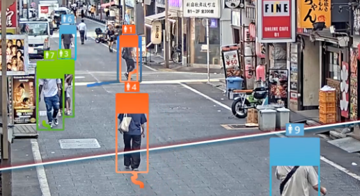 VisualCortex Pedestrian Model